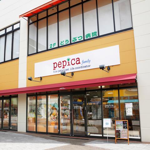 ペピカファミリー大宮宮原店