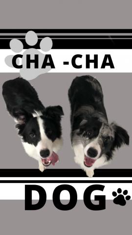 CHACHA-DOG