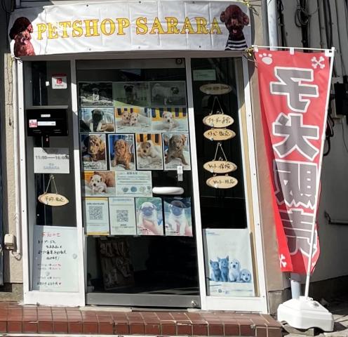 PETSHOP SARARA