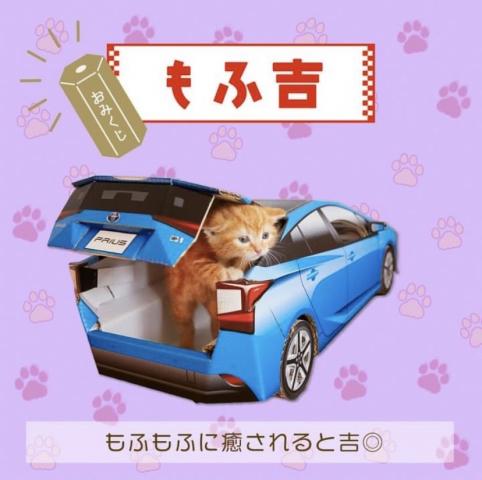 祝 トヨタ自動車公式フェイスブックに出演 タレント猫専門店 ねこランド春日部西口店 子犬や子猫たちのペット販売情報が満載 ペットステーション