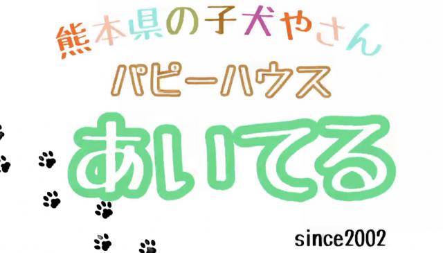 熊本県のこいぬやさんパピーハウス