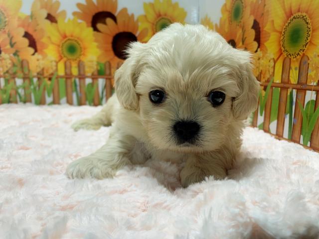 MIXあなたのハートを鷲掴み♡♡