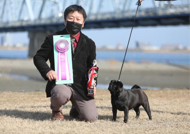 自慢の黒パグ「ビーミッシュ」もショーで活躍ヽ(=´▽`=)ﾉ