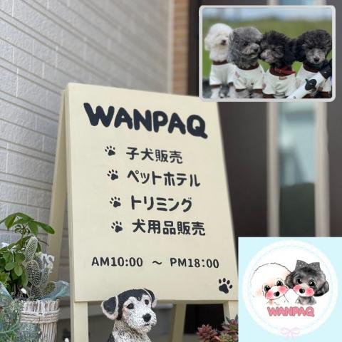 WANPAQ