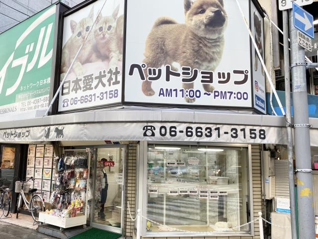 日本愛犬社