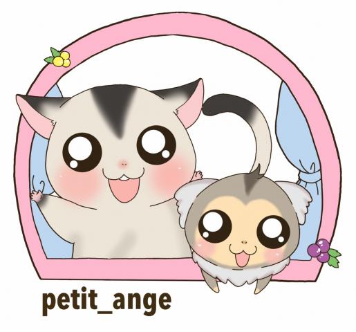 Petit ange