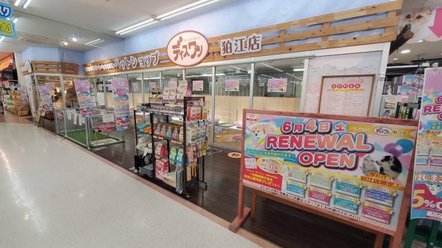 ✨ペットショップディスワン狛江店✨　ホームセンターユニディ狛江店内にあるペットショップです。かわいいワンちゃんネコちゃんが皆様のお越しをお待ちしております🐶🐈