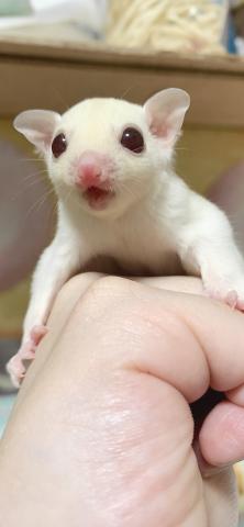 ご指定の情報がありません