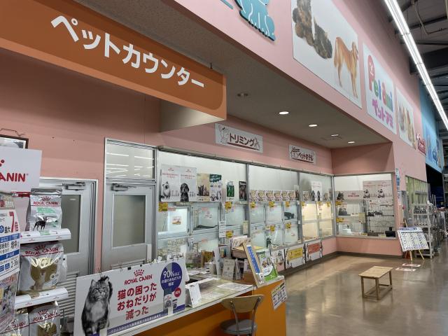 ペットアミ大曲店