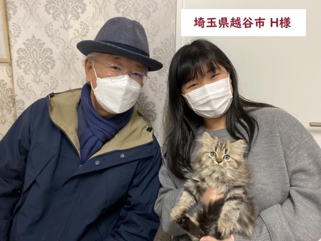 MIX（雑種） 💕当店出産ねこちゃん💕