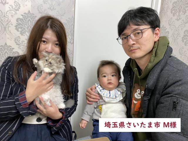 サイベリアン 💕当店出産ねこちゃん💕