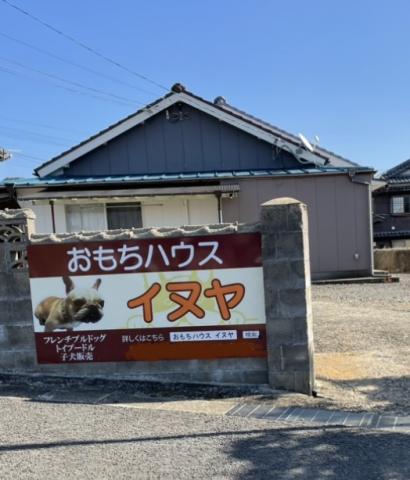 おもちハウスイヌヤ