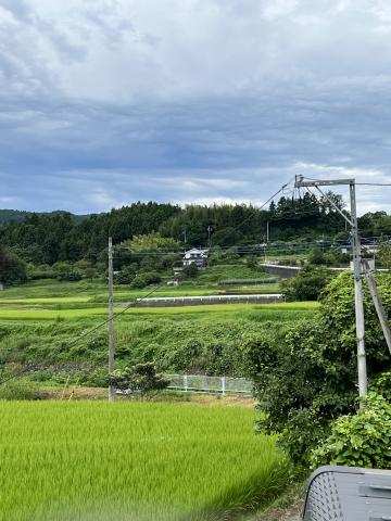 西山犬舎