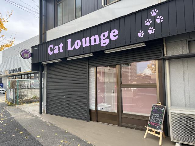 Cat Lounge