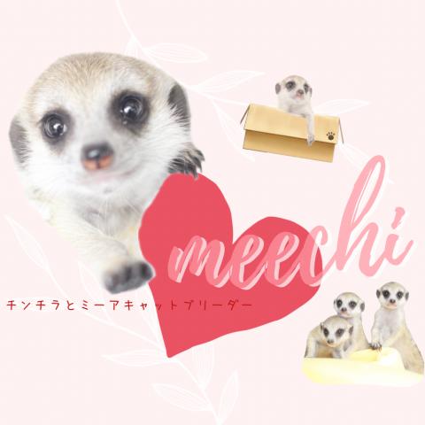 meechi