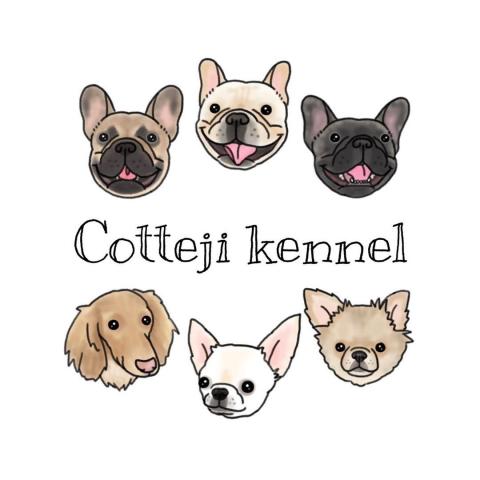 Cotteji kennel