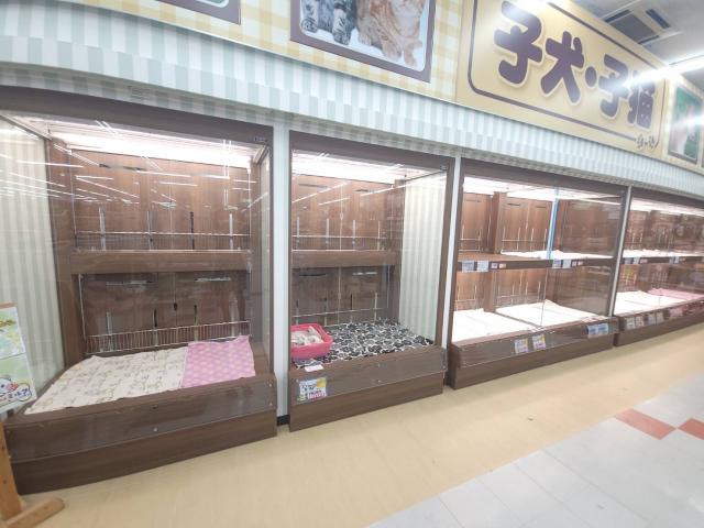 ペットランドミルク　白浜店