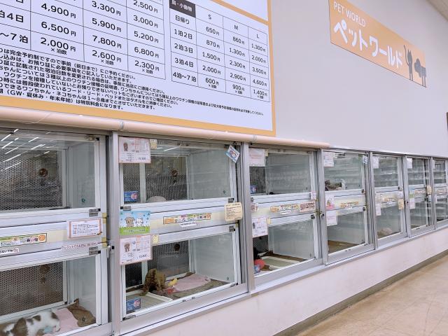 ディスワン熊谷小島店