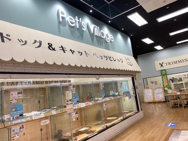 ペッツビレッジ前橋店