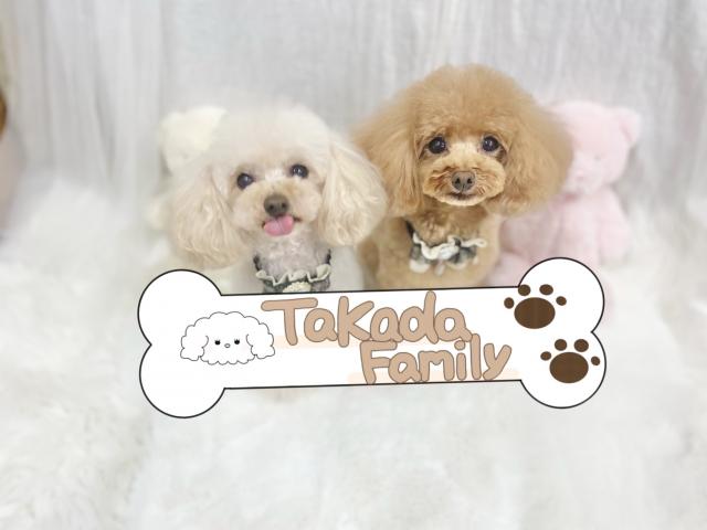 TakadaFamily🐾