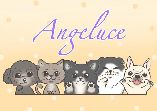 ペットハウス Angeluce