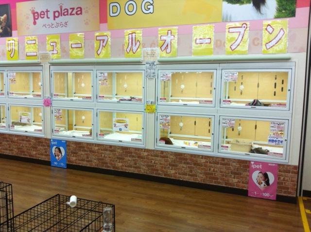 ペットプラザ　高柳店