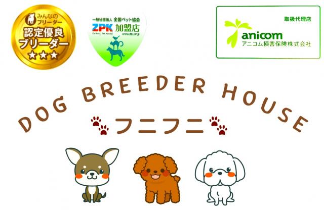 dog breeder house 🐾フニフニ🐾