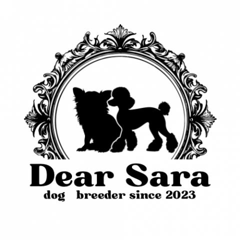 Dear Sara