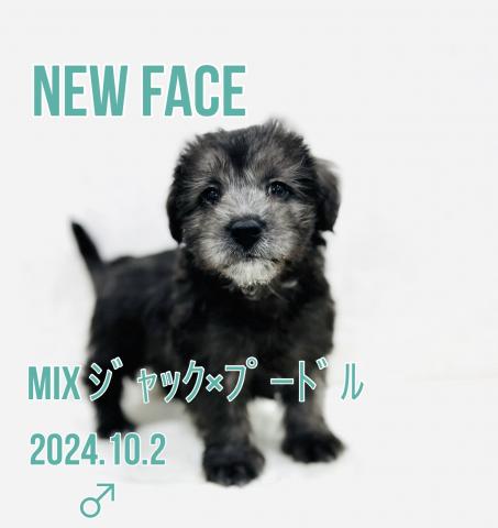 MIX
