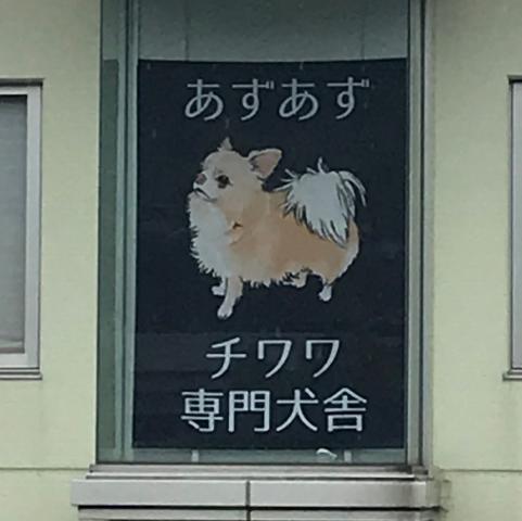 あずあず犬舎
