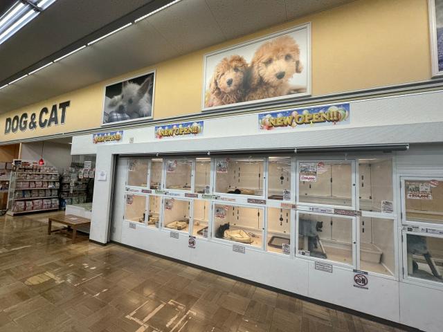 OneBuddy町田三輪店