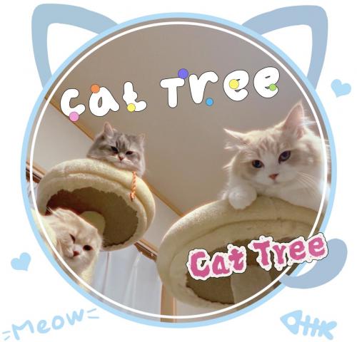 Cat Tree