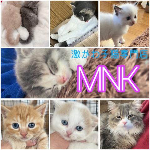 MNK