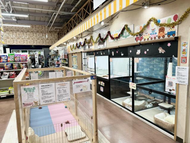 動物の森天理店