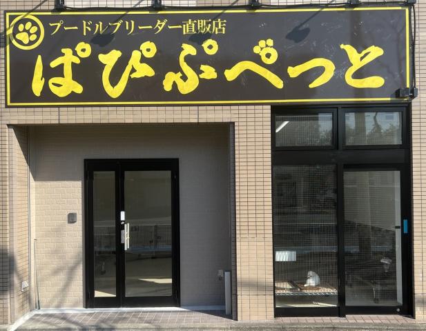 ぱぴぷぺっと福岡店