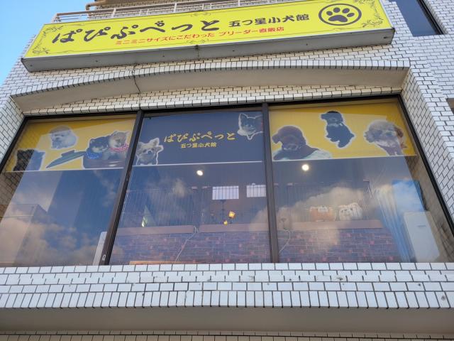 ぱぴぷぺっと芦屋店