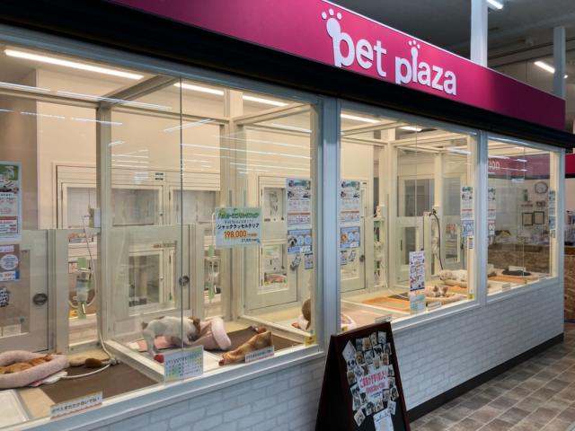 ペットプラザ川西久代店