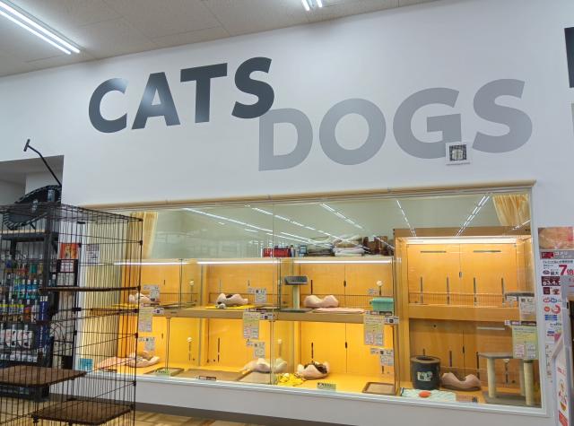 ペットアミ 紀ノ川店