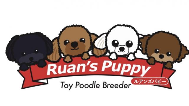Ruan’s Puppy 