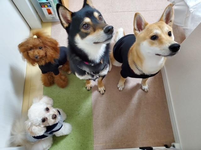 らいふたいむL