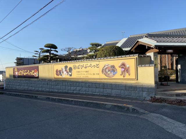 ぱぴぷぺっと