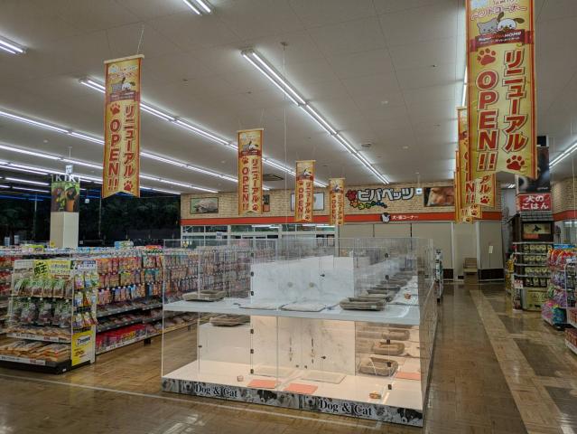 ファミリーペット スーパービバホーム長久手店