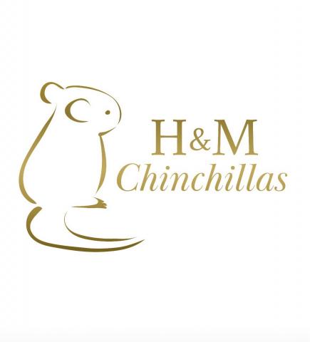 H＆M