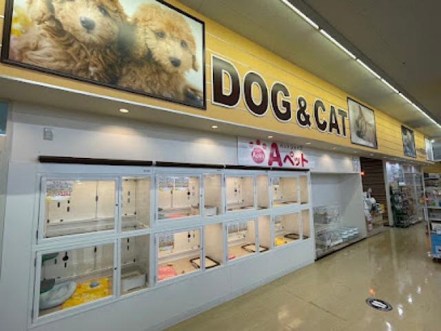 Aペット東村山店