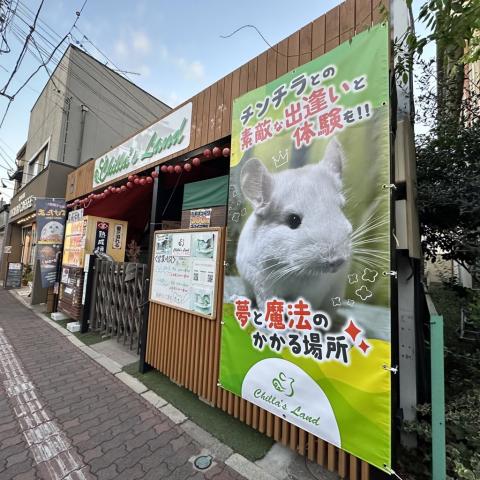 Chilla’s Land