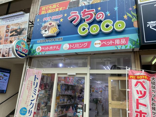 うちのCoCo