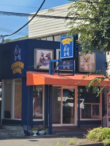 CHAMPION KENNEL