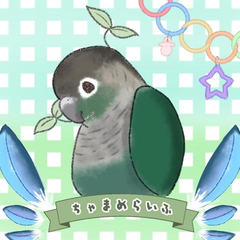 ちゃまめらいふ