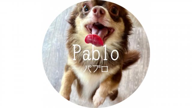Pablo（パブロ）
