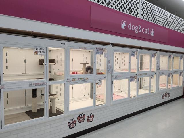 コーナン　ペットプラザ　和歌山店